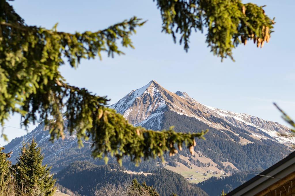 La Petite Silene Apartment Leysin Exterior photo